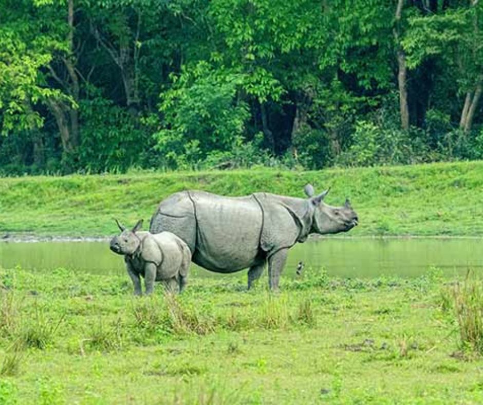 Assam